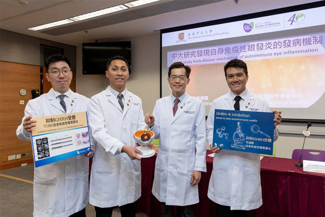 A research team from the Faculty of Medicine at Chinese University of Hong Kong has deciphered the pathogenesis of autoimmune uveitis and discovered a registered drug that can inhibit the relevant disease pathogenesis pathways, which is expected to become a new treatment means. (Courtesy of CUHK)