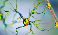 Pesticide Exposure Linked to Lou Gehrig’s Disease, Could Be Used to Predict Disease Risk