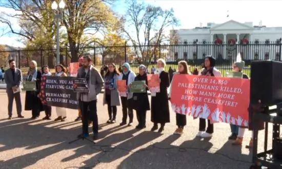 State Lawmakers, Activists Start 5-Day Hunger Strike Outside White House for Permanent Ceasefire in Gaza