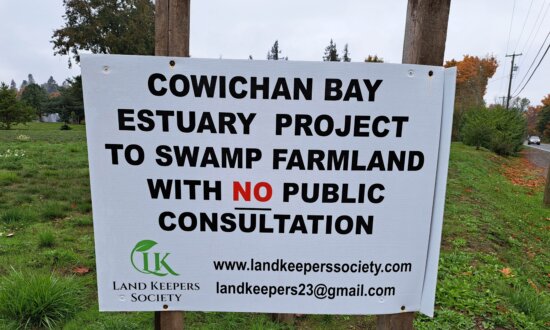 Locals Raise Concerns About Plan to Flood 100-Acre Vancouver Island Farm for Estuary Expansion Project