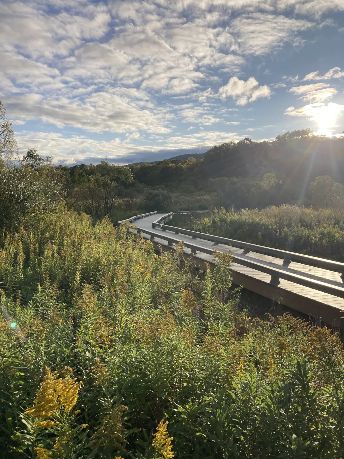 The accessible trail at Soaring Eagle Wetland near State College, Pennsylvania. (Amy Bertrand/St. Louis Post-Dispatch/TNS)