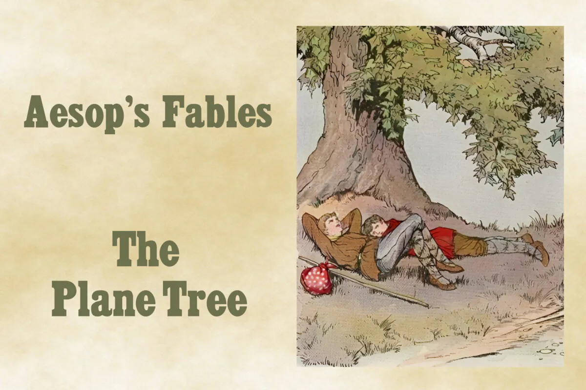 "The Plane Tree,” illustrated by Milo Winter, from “The Aesop for Children,” 1919. (PD-US)