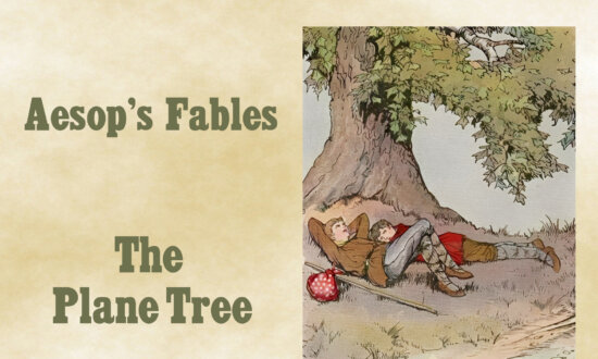 Aesop’s Fables: Our Best Blessings Are Often the Least Appreciated