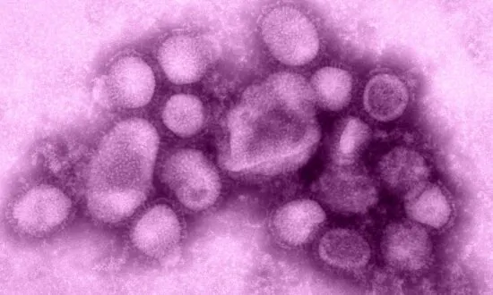 1st Human Case of Swine Flu Variant Detected as Officials Scramble to Find Contacts