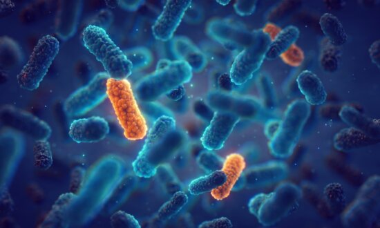 New Study Ties Lack of Micronutrients to Antibiotic Resistance