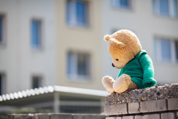 Why Are Grown Adults Carrying Stuffed Animals?