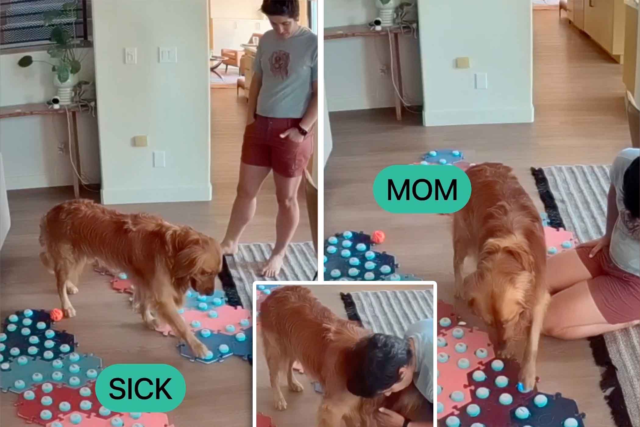 Epoch Times Photo