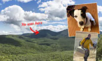 Loyal Dog Who Spent 10 Weeks Guarding Fallen Hiker’s Body Is Reunited With Family