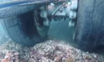 US Navy Plane Went Into Hawaii Bay; Underwater Video Shows Its Tires Are Touching Coral Reef