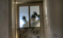 Night of the Living Ed: Zombie Public Schools, Drained of Pandemic Lifeblood, Haunt the Land