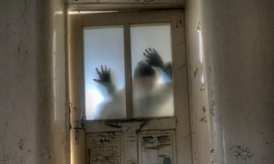 Night of the Living Ed: Zombie Public Schools, Drained of Pandemic Lifeblood, Haunt the Land