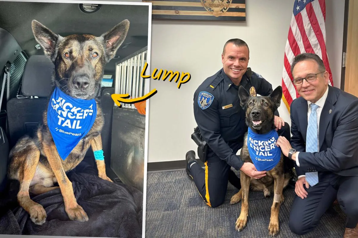 (Courtesy of Bensalem Township Police Department)