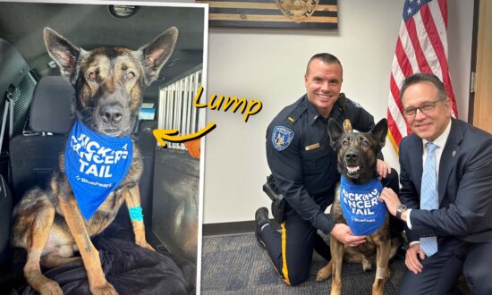 Police Spot Cancerous Tumor on Explosive Detection Dog's Jaw—Then a Few Friends Step up to Help