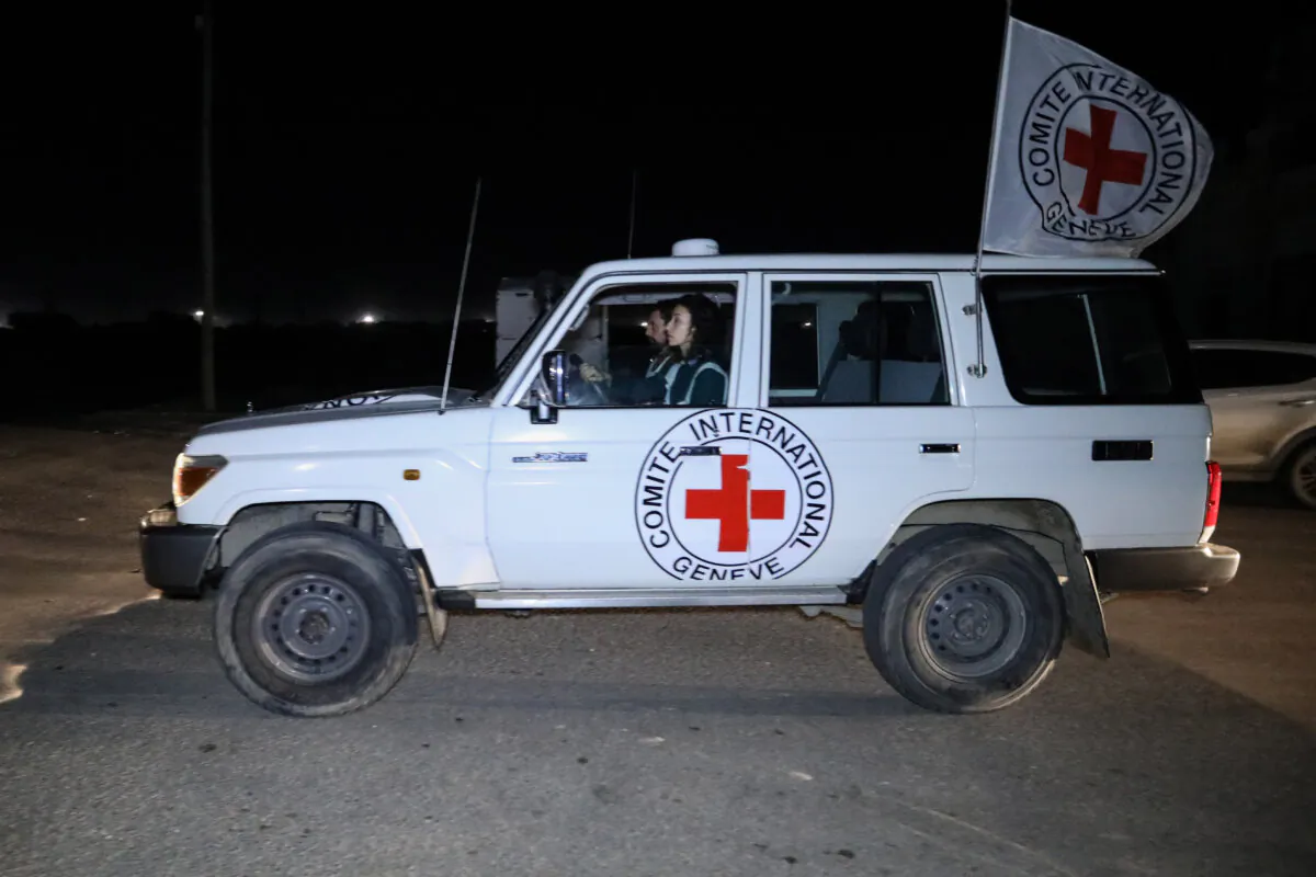 Hostages are transported in International Committee of the Red Cross vehicles from the Gaza Strip through the Rafah land crossing in Rafah, Gaza, on Nov. 30, 2023. (Ahmad Hasaballah/Getty Images)