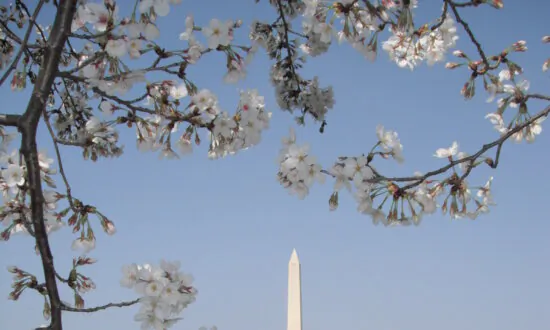 Washington Monuments: Honoring the Father of This Country
