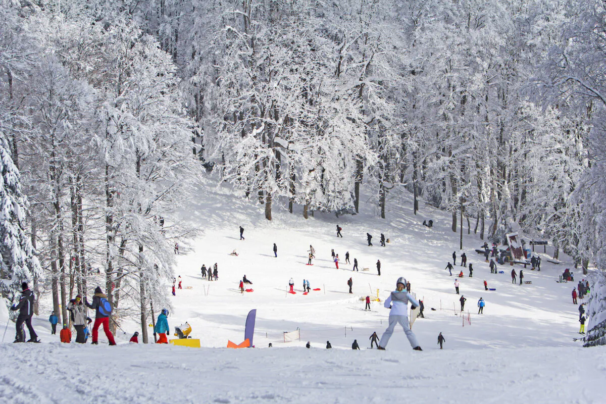 People sledding and skiing in the snow. (Dreamstime/TNS)