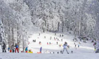 Taking the Kids: Fun in the Snow on a Budget