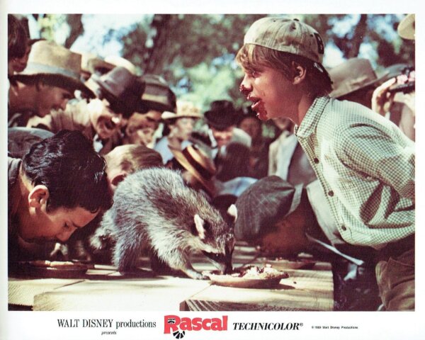 "Rascal"