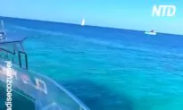Glass Bottom Boat Adventure in Cozumel, Mexico