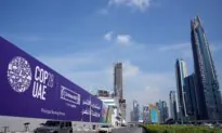 David Krayden: Holding a Climate Change Conference in the Desert Is Surreal