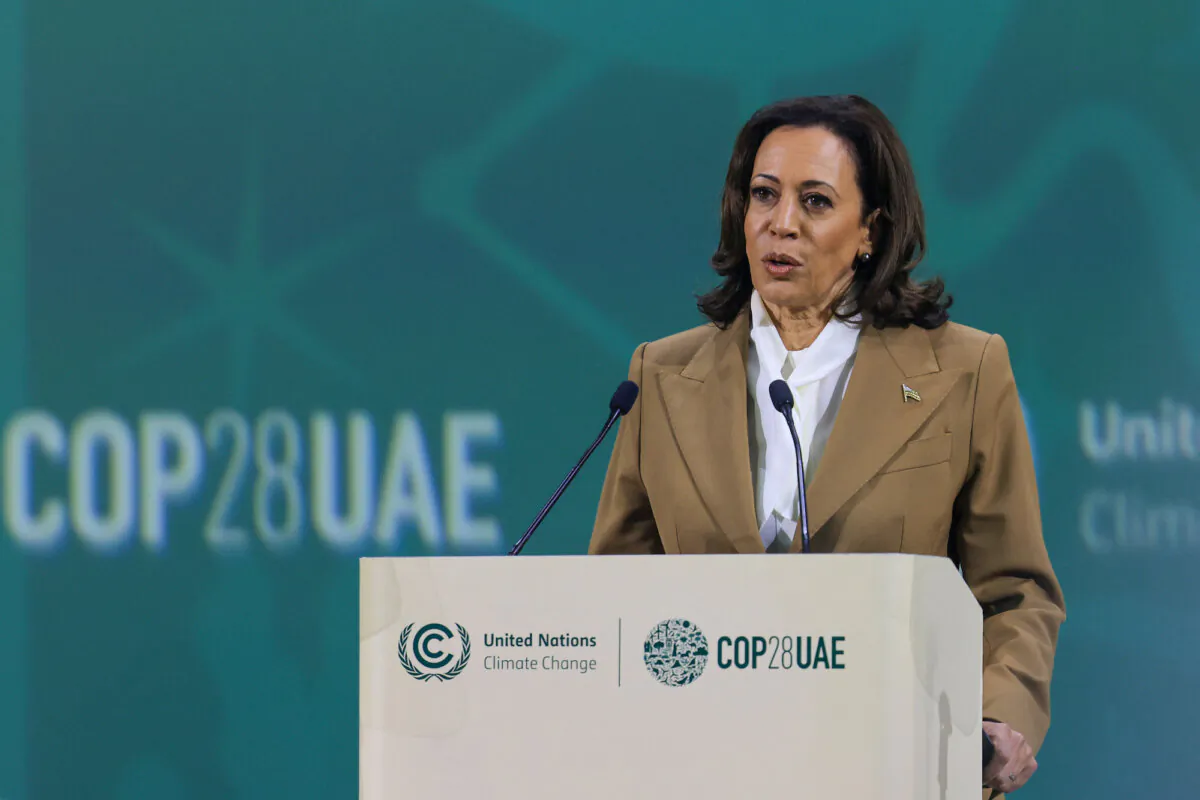 Vice President Kamala Harris speaks at the COP28 United Nations climate summit in Dubai on Dec. 2, 2023. (Karim Sahib/AFP via Getty Images)
