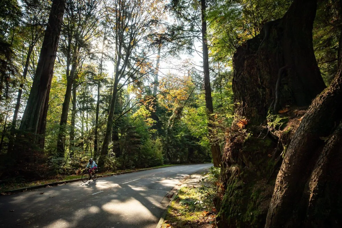 A cyclist rides on the road in Stanley Park in Vancouver, B.C., Oct. 2, 2020. (The Canadian Press/Darryl Dyck)
DARRYL DYCK