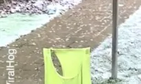 Family’s Laundry Freezes on the Clothesline!