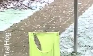 Family’s Laundry Freezes on the Clothesline!