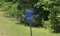 Alabama Family’s Pet ‘Wolf-Hybrid’ Kills 3-Month-Old Baby, Sheriff Says