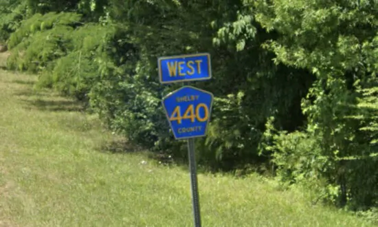 Alabama Family’s Pet ‘Wolf-Hybrid’ Kills 3-Month-Old Baby, Sheriff Says