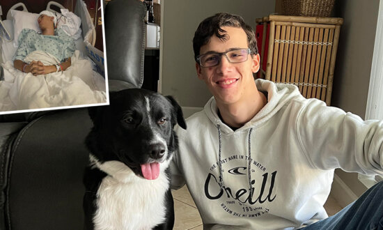 ‘God Had His Hand in Everything’: Dog Rescues Boy From Unexpected Stroke by Alerting Parents