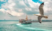 The Delight (and Stress) of Taking Public Transportation Around the World