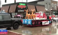 Rochester Area Hometown Christmas Parade