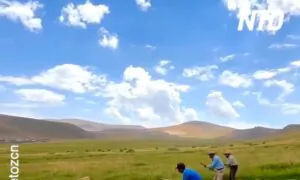 Villagers Sing While Scything the Grass