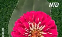 Nature is Absolutely Beautiful