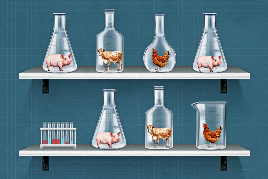NextImg:FDA Approved, Controversial Lab-Grown Meat Becomes a Reality