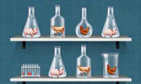FDA-Approved, Controversial Lab-Grown Meat Becomes a Reality