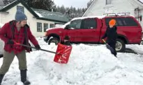 Heavy Snowfall Drops Tree Branches Onto Power Lines, Causing Outages in New England