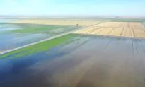 Death by Ecology: Killing California, America Next?