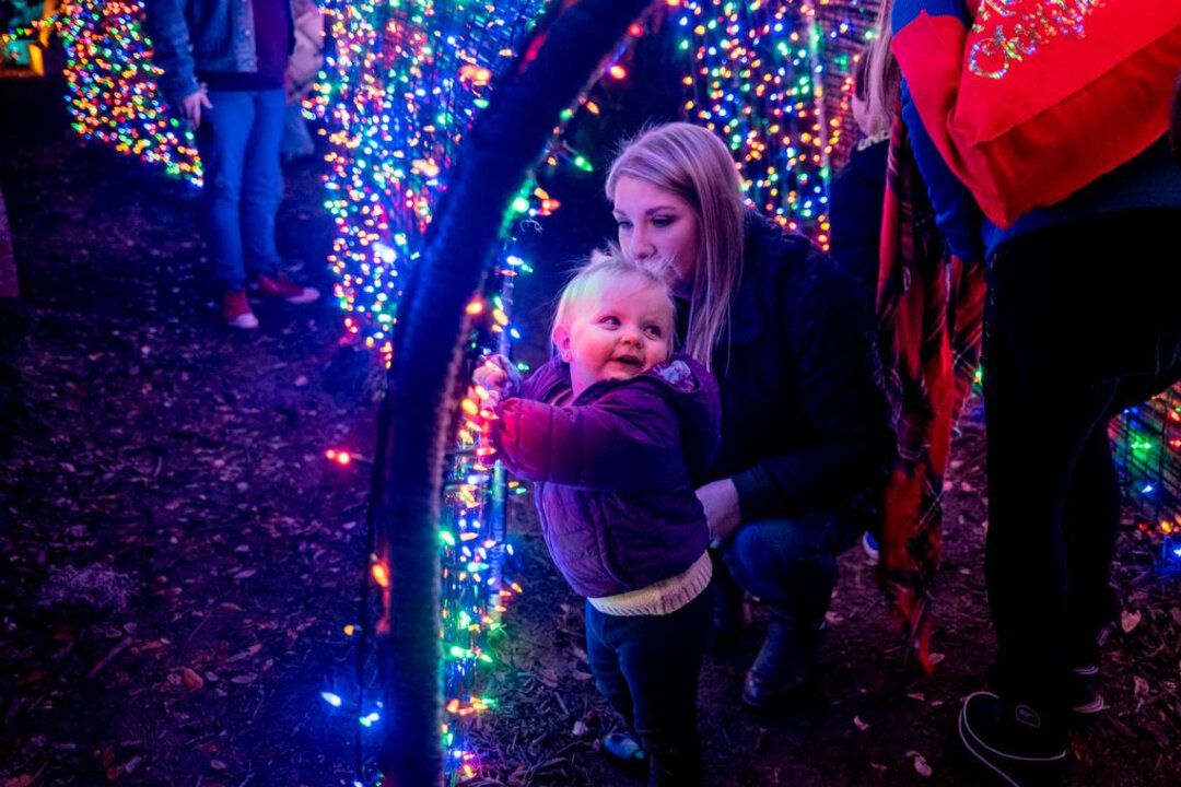 This SC City Was Named One of the Best Christmas Destinations by Lonely