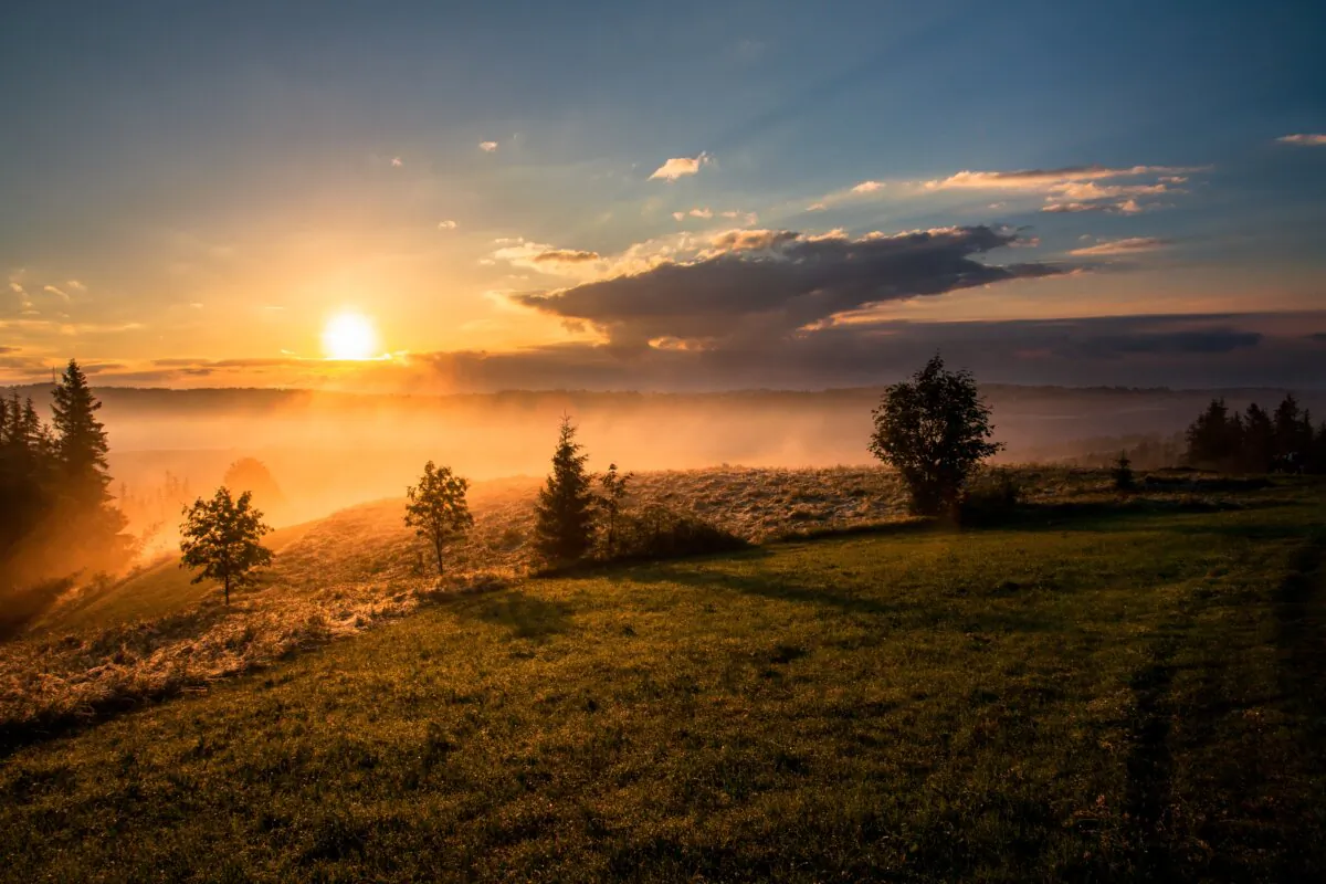 (Dawid Zawiła/Unsplash.com)