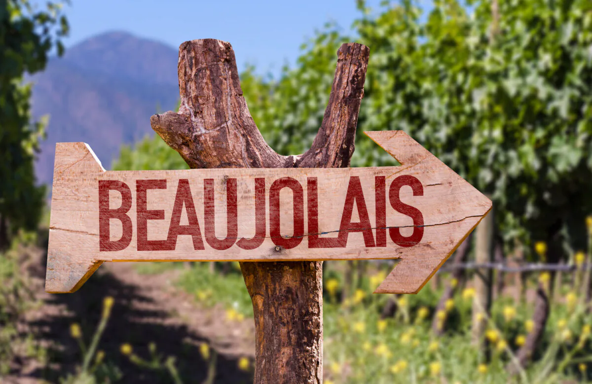 Beaujolais wines are made from the gamay noir grape. (Gustavo Frazao/Shutterstock)