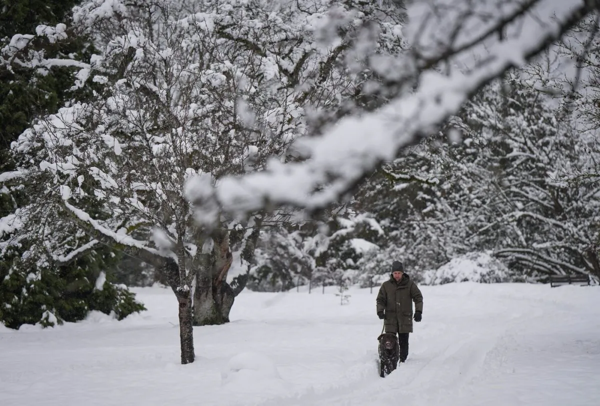 A man walks a dog through the snow after an overnight and morning snowstorm, in Vancouver, B.C., on Feb. 28, 2023. (The Canadian Press/Darryl Dyck)