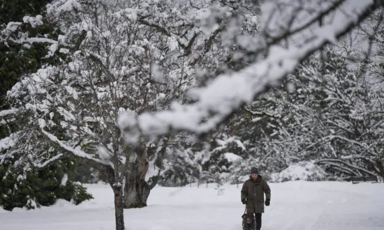 Weather System May Bring Snow to Parts of Metro Vancouver, Gusts to North BC Coast