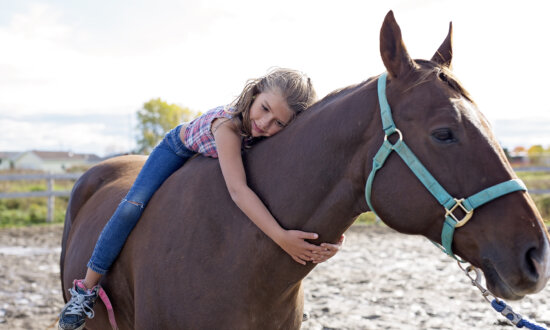 Nature Therapy Including Art and Horses Show Promise for Autistic Children