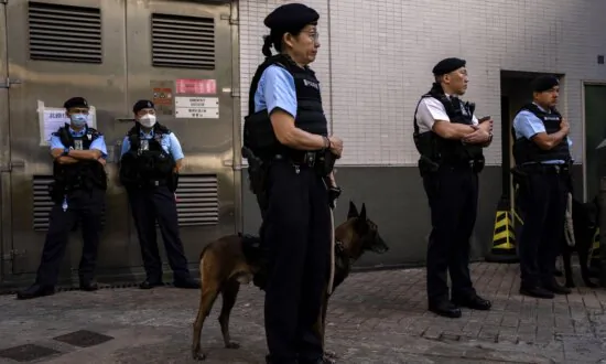 Overseas Group Pans Hong Kong Election for Violating Equal Suffrage Right