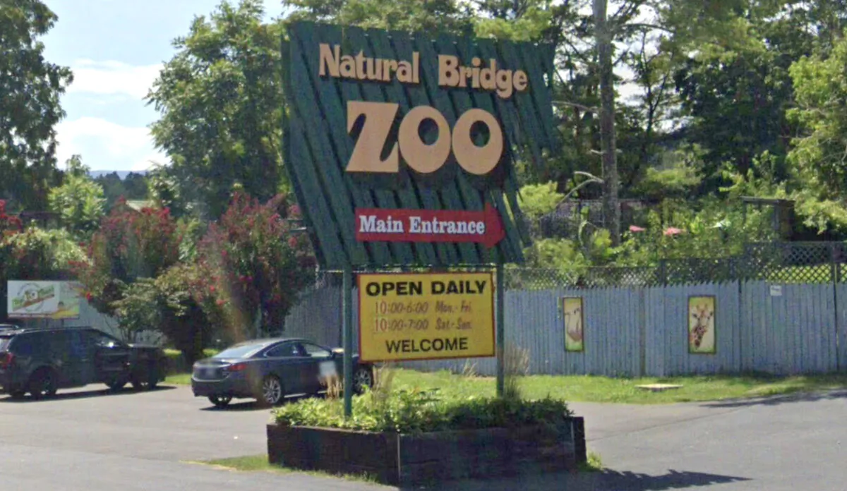 The main entrance to Natural Bridge Zoo in Natural Bridge, Va., in August 2022. (Google Maps/Screenshot via The Epoch Times)