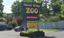 Dozens of Animals Taken From Virginia Roadside Zoo as Part of Investigation