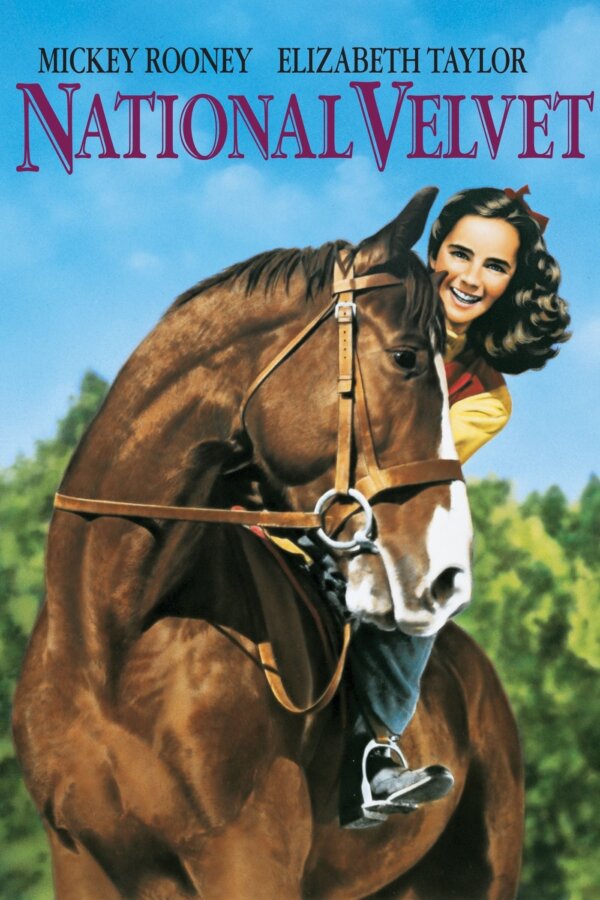 Top 5 Horse Films