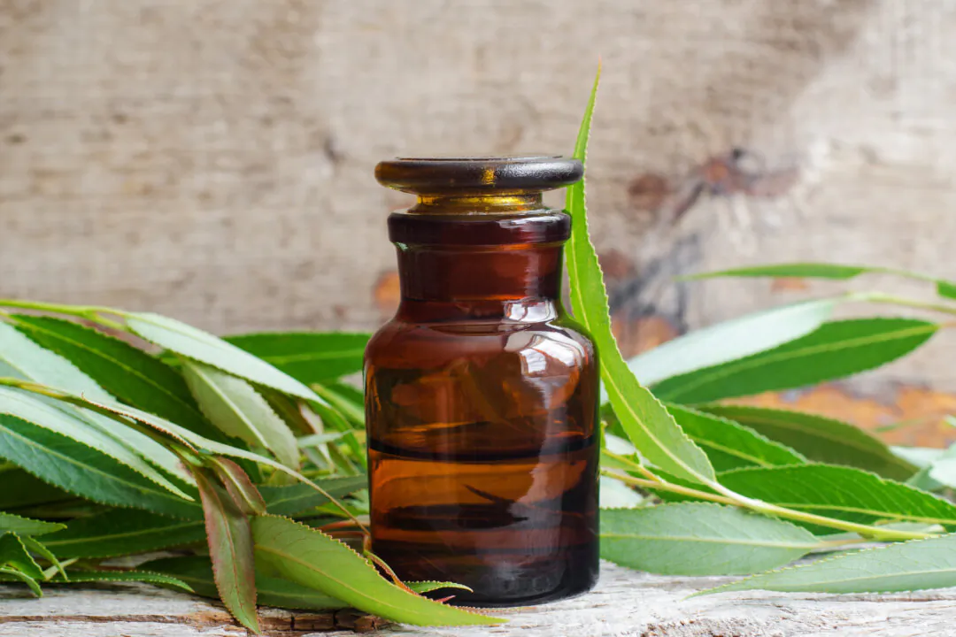 (kazmulka/Shutterstock)